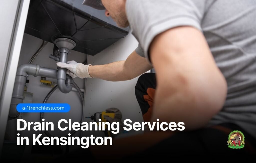 drain cleaning services in kensington